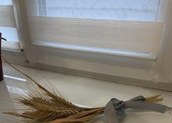 День пам’яті жертв голодомору