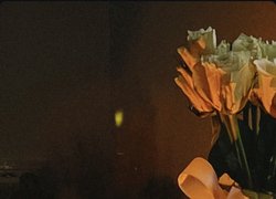 День пам’яті жертв голодомору