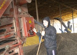 Технологічна практика студентів факультету агрономії