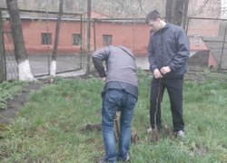 Дружня співпраця зі школами міста в рамках екологічної акції «Посади своє дерево»