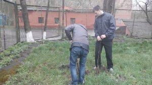 Дружня співпраця зі школами міста в рамках екологічної акції «Посади своє дерево»
