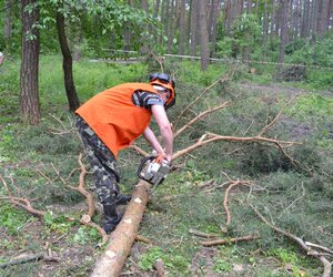 Змагання з «Лісового багатоборства» серед студентів лісогосподарських факультетів вищих навчальних закладів України