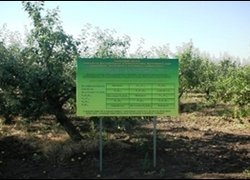Національне надбання - Унікальна дослідна агроекосистема яблуневого саду УНУС