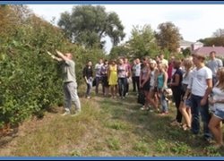 Доцент П.А.Головатий веде практикум з літнього обрізування яблуні