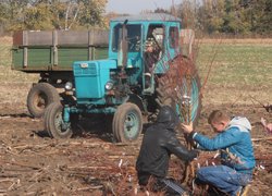Практика на факультеті плодоовочівництва,екології і захисту рослин