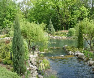 Ландшафти та паркові пейзажі Межигір'я