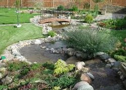 Ілюстративна виставка „Вода і камінь в дизайні саду”