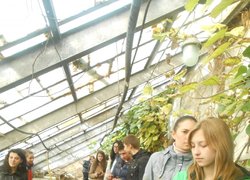 Навчальна практика студентів факультету менеджменту