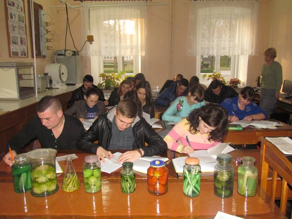 Викладацький досвід