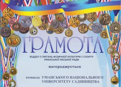 Інтелектуальні молодіжні спортивні ігри