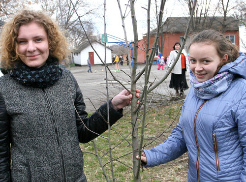 Акцію «Посади дерево» продовжено у ЗОШ № 4