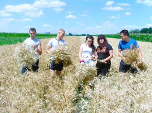 Науково-агрономічна практика