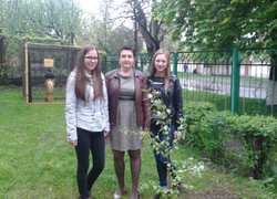 Уманський НВК «ЗОШ І–ІІІ ступенів № 7 – колегіум» підтримав акцію «Посади дерево»