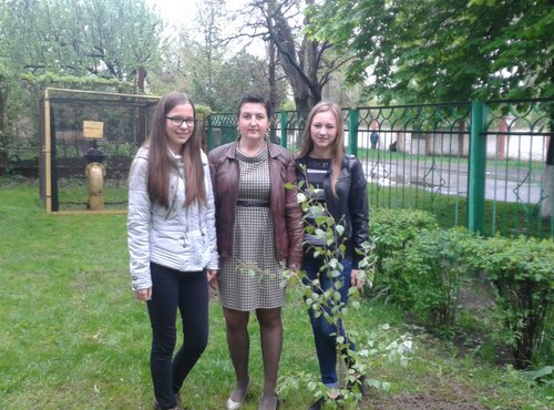 Уманський НВК «ЗОШ І–ІІІ ступенів № 7 – колегіум» підтримав акцію «Посади дерево»