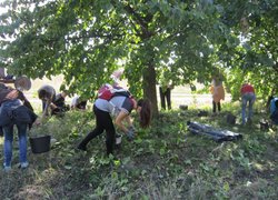 Роль праці у вихованні підростаючого покоління