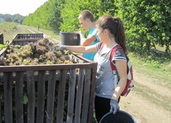 Роль праці у вихованні підростаючого покоління