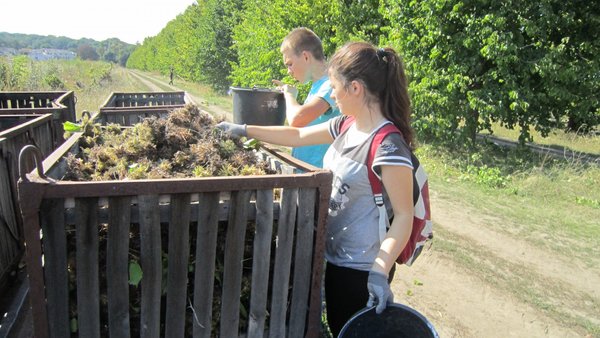 Роль праці у вихованні підростаючого покоління