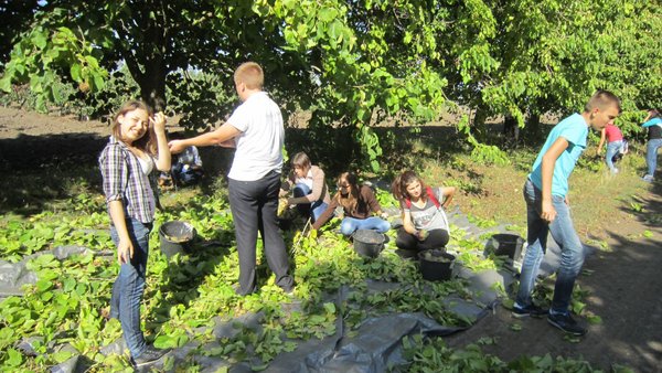 Роль праці у вихованні підростаючого покоління