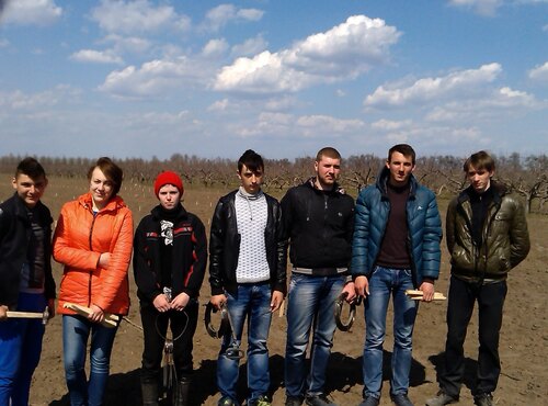 Розбивка площі під сади