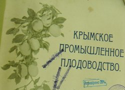 Загадковий автограф