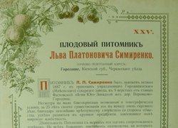 Загадковий автограф