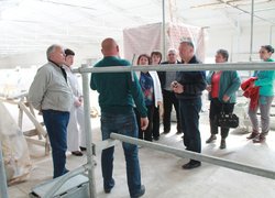 Досвід ефективного управління