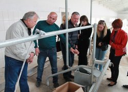 Досвід ефективного управління