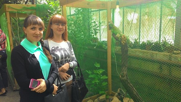 Дивовижне поруч