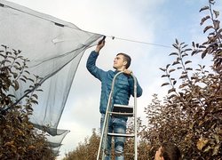 ДАЛI ЗБИРАЮТЬ ВЕРХНIЙ КРАЙ СIТКИ