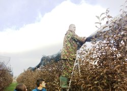 ОСОБЛИВОЇ УВАГИ ПОТРЕБУЮТЬ КРАЙНI РЯДИ