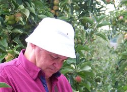 Почуте належно конспектується (Михайло Бабій)