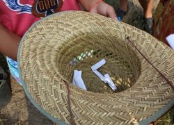 В Уманському НУС проведено щорічний конкурс окулірувальників ім. О. С. Андрієнка