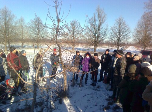 Навчальна практика 31-ЗР групи  з обрізування дерев у ННВВ Уманського НУС