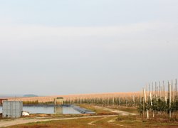 Науково–практичний семінар із садівництва: садівничі господарства Вінниччини