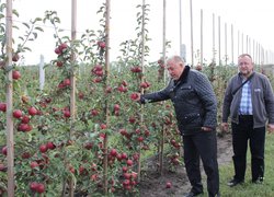 Науково–практичний семінар із садівництва: фермерське господарство «Гадз»