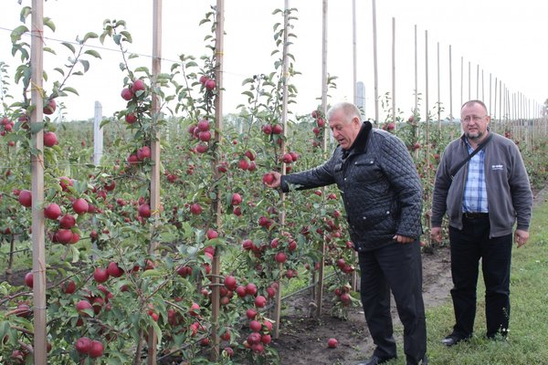 Науково–практичний семінар із садівництва: фермерське господарство «Гадз»