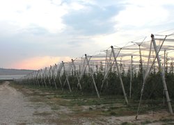 Ефективний градозахист