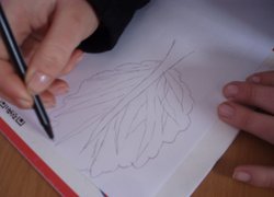 Круглий стіл з елементами  тренінгу на тему «Цінність життя людини»