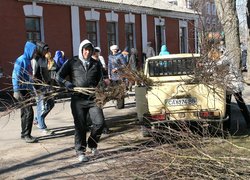 Акція «Посади дерево»