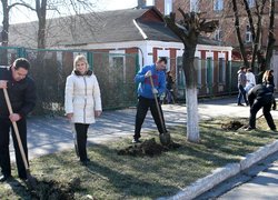 Акція «Посади дерево»