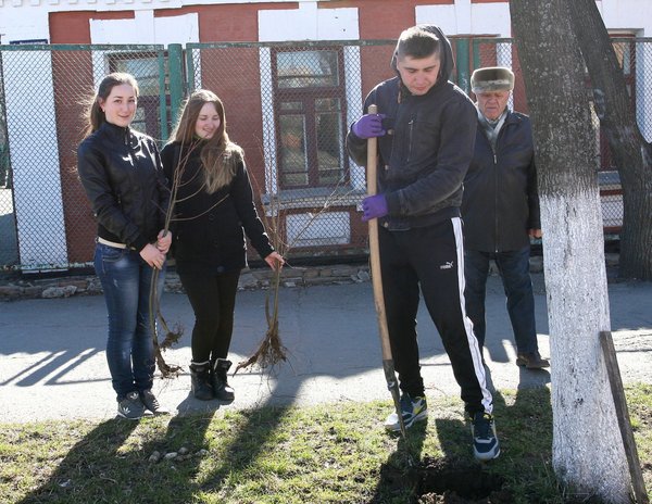 Акція «Посади дерево»