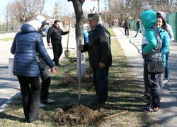 Акція «Посади дерево»