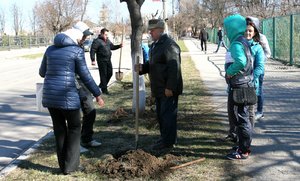 Акція «Посади дерево»