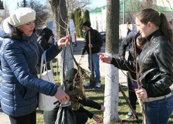 Акція «Посади дерево»