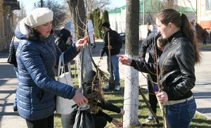 Акція «Посади дерево»