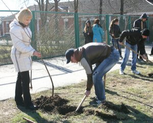 Акція «Посади дерево»