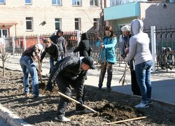 Акція «Посади дерево»