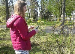 Практичне заняття з дисципліни «Агротехніка зеленого будівництва»
