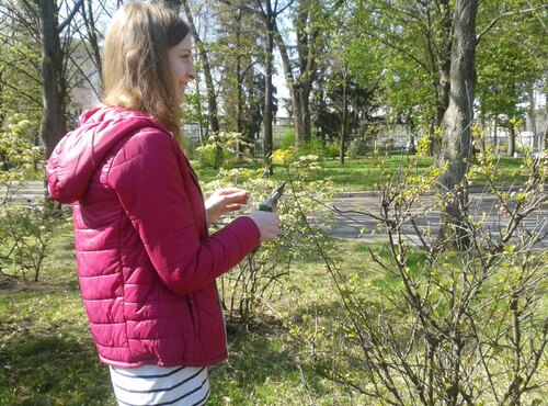 Практичне заняття з дисципліни «Агротехніка зеленого будівництва»