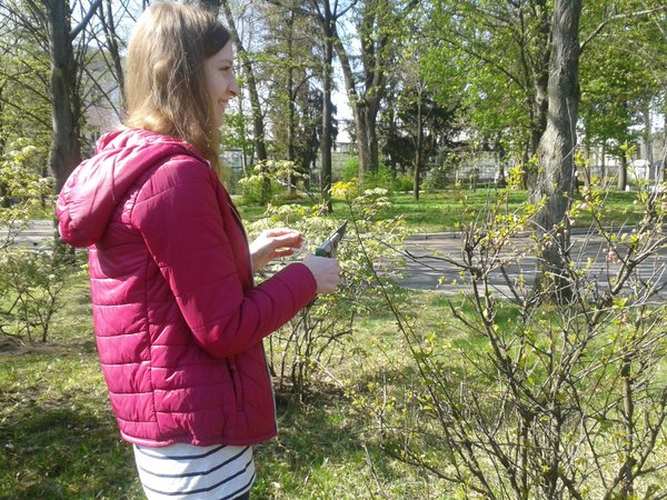 Практичне заняття з дисципліни «Агротехніка зеленого будівництва»